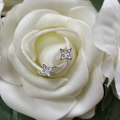 Silver Cubic Zirconia Star Stud Earrings