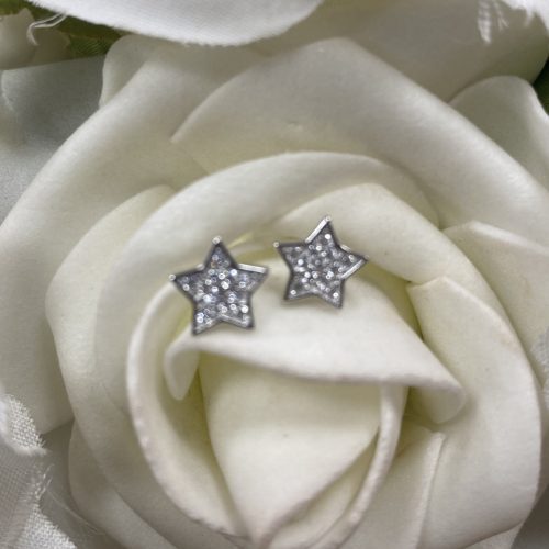 Silver Cubic Zirconia Stud Earrings